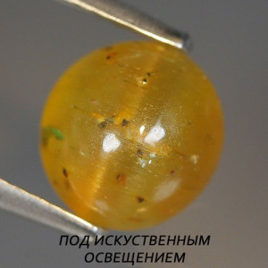 Натуральний жовтий Апатит з кошачим оком овал 7.7x7.3мм 2.84ct