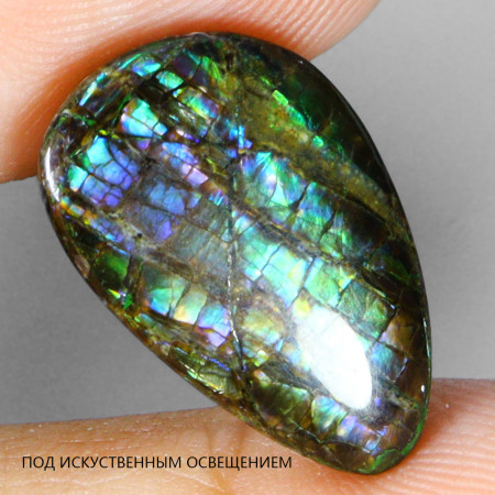 Натуральний Амоліт груша 19.1х10.9мм 8.52ct