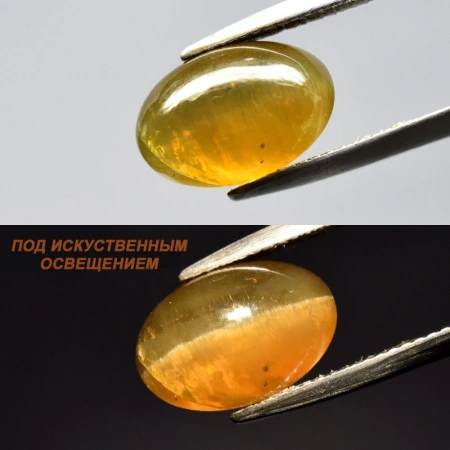 Натуральный Апатит с кошачьим глазом овал 12.8x8.6мм 7.84ct Натуральный Апатит с кошачьим глазом овал 12.8x8.6мм 7.84ct