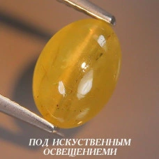 Натуральный желтый Апатит с кошачьим глазом овал 11.8x9.0мм 6.70ct Натуральный желтый Апатит с кошачьим глазом овал 11.8x9.0мм 6.70ct