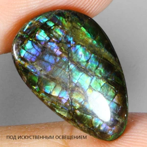 Натуральный Амолит груша 19.1х12.1мм 8.52ct Натуральный Амолит груша 19.1х12.1мм 8.52ct