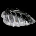 Натуральный белый Кварц 32.0x19.8мм 42.78ct